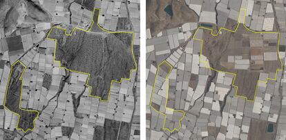 Ortofotos del Instituto Geográfico Nacional en 1998 (i) y 2019 (d) de los Artos de El Ejido (Almería), donde se aprecia la invasión de invernaderos del espacio protegido.
FOTO: IGN