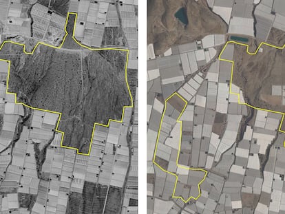 Ortofotos del Instituto Geográfico Nacional en 1998 (i) y 2019 (d) de los Artos de El Ejido (Almería), donde se aprecia la invasión de invernaderos del espacio protegido.
FOTO: IGN