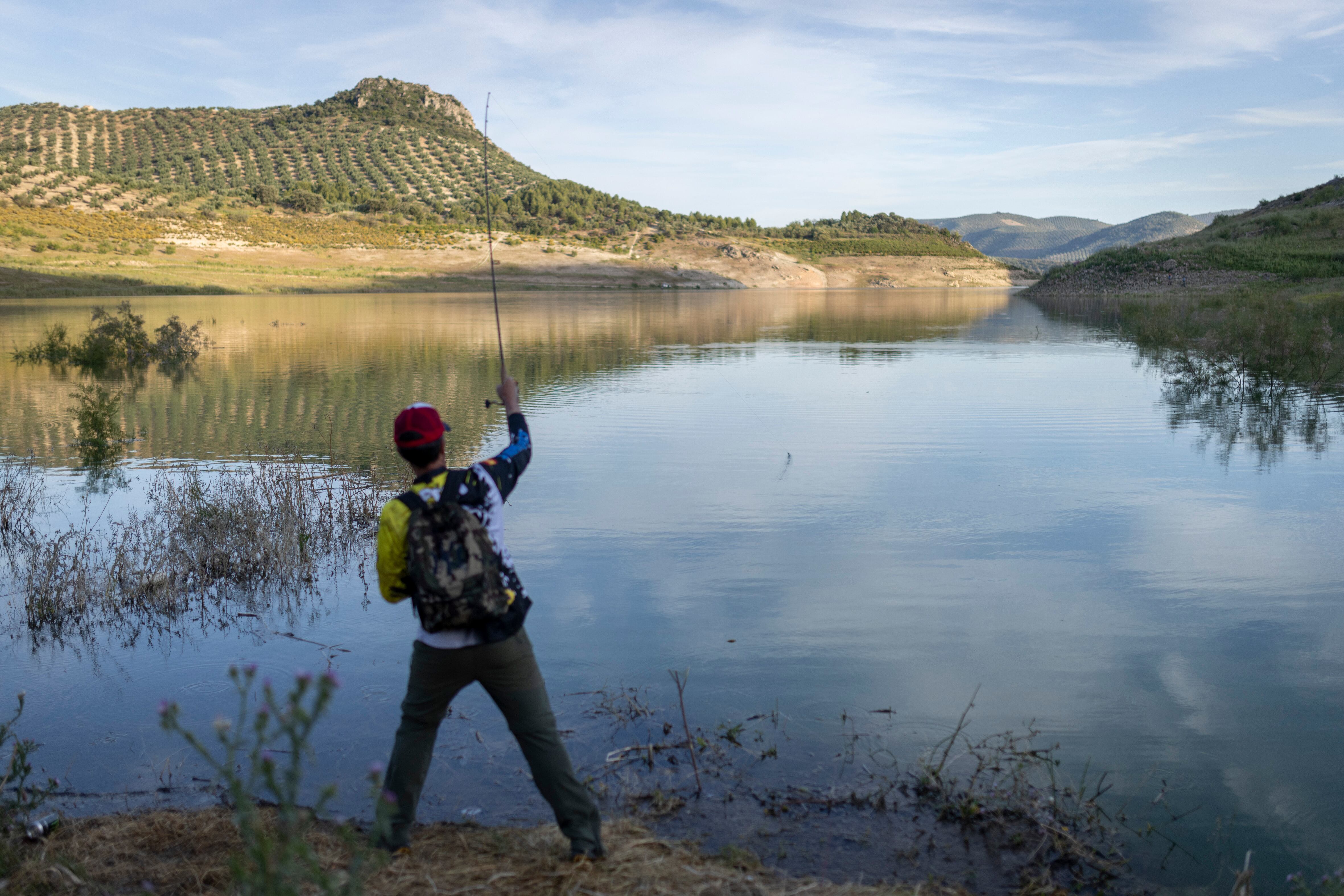 El embalse de Iznájar, de 2.500 y situado entre las provincias de Córdoba, Granada y Málaga, fue el primer lugar de la cuenca del Guadalquivir donde se detectó la especie en 2011. 