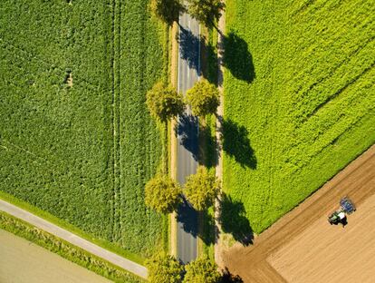 Un agricultor ara con su tractor un campo en Schellerten, al sureste de Hannover (Alemania).