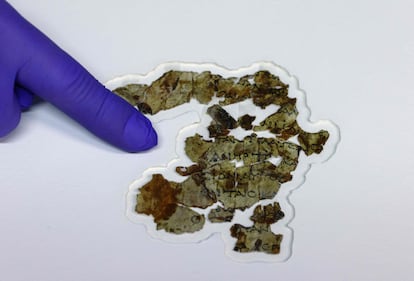 Fragments of the Dead Sea Scrolls displayed in Jerusalem by the Israel Antiquities Authority.