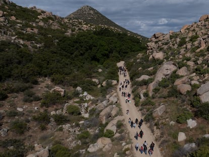 Asylum seekers on their way to surrender to U.S. immigration officials after crossing the border in Jacumba Hot Springs, California, on May 20, 2024.