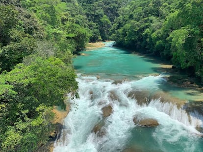 La selva Lacandona: un paraíso amenazado