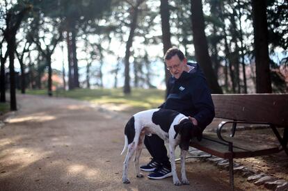 El candidato del Partido Popular a la Presidencia del Gobierno, Mariano Rajoy, pasea junto a su perro Rico por los jardines del Palacio de La Moncloa, este sábado durante la jornada de reflexión. El perro se lo regaló una vecina.