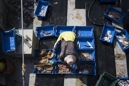 Els mariners del 'Bona Mar 2'  insisteixen que a la mar han detectat la millor eficiència en la recollida d'escombraries. “La gent està cada cop més conscienciada; aquest problema se soluciona amb educació”