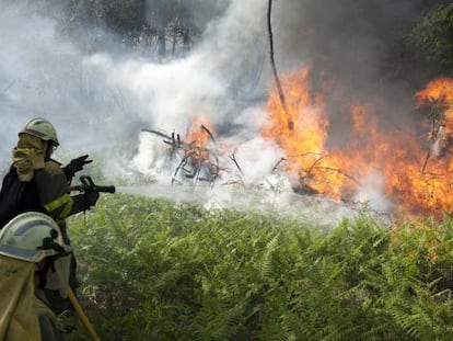 Brigadistas luchando contra el fuego 