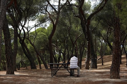 Una persona el martes en una mesa del parque de la Dehesa de la Villa, en el distrito de Moncloa-Aravaca. El parque mantiene su carácter forestar y una gran parte del mismo continúa sin estar ajardinado.