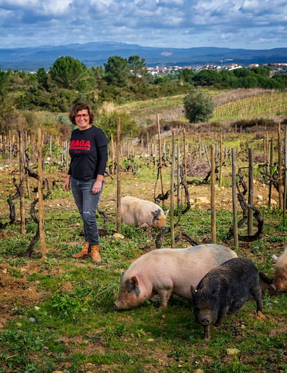 Filipa Pato, con algunos de los cochinillos que la ayudan a mantener las hierbas a raya en sus viejos viñedos de Bairrada.