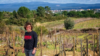 Filipa Pato, con algunos de los cochinillos que la ayudan a mantener las hierbas a raya en sus viejos viñedos de Bairrada.
