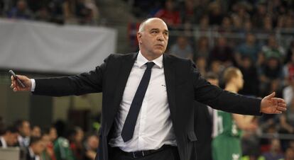 Pablo Laso, entrenador del Real Madrid.