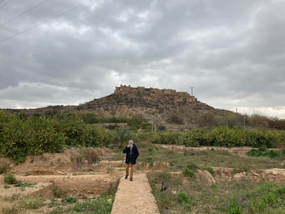 El arqueólogo Julio Navarro camina sobre los muros del palacio del rey Lobo. Al fondo, el castillejo de Monteagudo.
