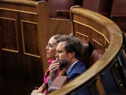 El portavoz del Grupo Parlamentario de Vox, Iván Espinosa de los Monteros, durante una sesión plenaria, en el Congreso de los Diputados, el pasado jueves.
