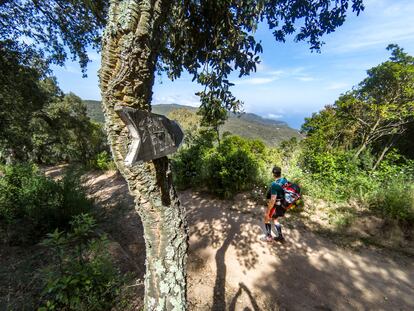 Un senderista por un tramo del Camí de Ronda a su paso por Sant Feliu de Guíxols.