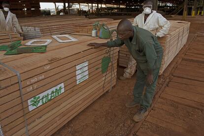 Las perspectivas de Pokola han mejorado desde que los productos de la compañía empresa Congolaise industrielle du bois (CIB) -alrededor de la cual la ciudad se ha desarrollado- han obtenido el sello de la certificación de FSC. En la imagen, unos operarios revisan la mercancía ya empaquetada y con la etiqueta grabada en la CIB, que ha conseguido certificar 1,4 millones de hectáreas en la cuenca del Congo.