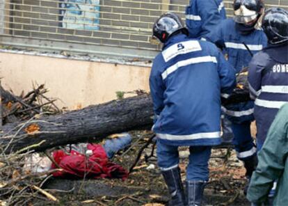 Los bomberos retiran el árbol que cayó sobre un vecino de Nava.