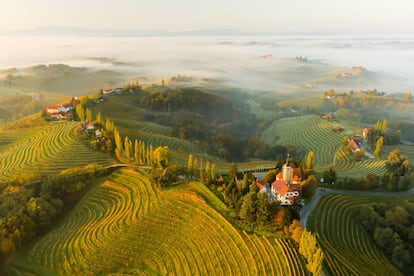 Un destino europeo que combina espectaculares paisajes y ciudades llenas de encanto. El reducido tama?o del pas permite moverse con facilidad y de forma econmica: en pocas horas podemos pasar de una ciudad de estilo veneciano a unos espectaculares valles alpinos, y regresar a tiempo para una cena junto al ro en el centro de Liubliana, la recoleta capital. Eslovenia se est consolidando como destino de actividades al aire libre (y a precios asequibles). En verano, los lugares ms tursticos, como el lago Bled o Bohinj tienen una alta ocupacin, pero es fcil dejar atrs las multitudes tomando el tren desde Nova Gorica, en la frontera italo-eslovena, hasta Jesenice, un bonito trayecto de dos horas por los Alpes Julianos, o recorriendo la regin de Prekmurje (en la foto) y sus colinas de vi?edos y casas de estilo hngaro.