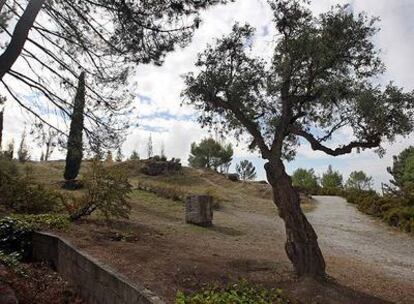 Paraje cercano a la fuente de Aynadamar, el lugar donde se cree que fusilaron a Lorca.