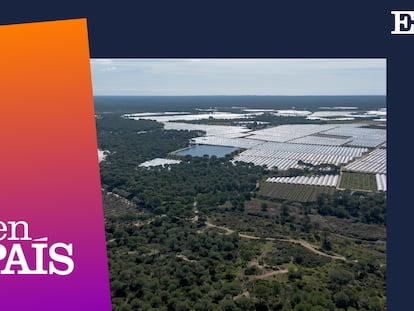 ‘Podcast’ | Doñana: entre el optimismo y la contradicción