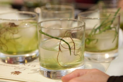 Gin tonic de algas, de Ángel León.