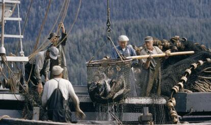 Pescadores introducen en su barco los salmones recién capturados en Ketchikan, Alaska
