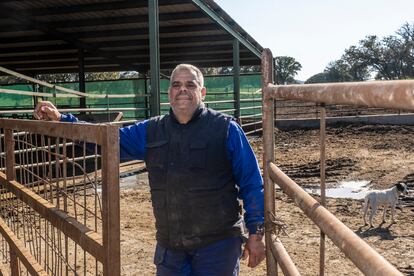 Diego de la Morena, hermano de Eugenio, en la granja de vacas de la que ambos son propietarios en Colmenar Viejo.



