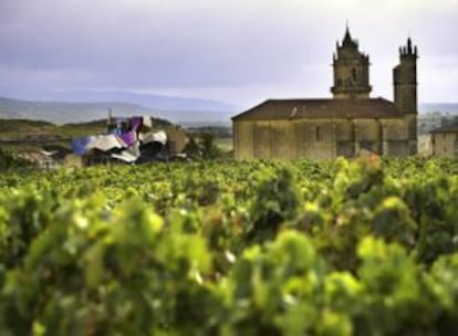 Southern Álava, in the Basque Country, is known as La Rioja alavesa, and its wines enjoy a good reputation abroad.