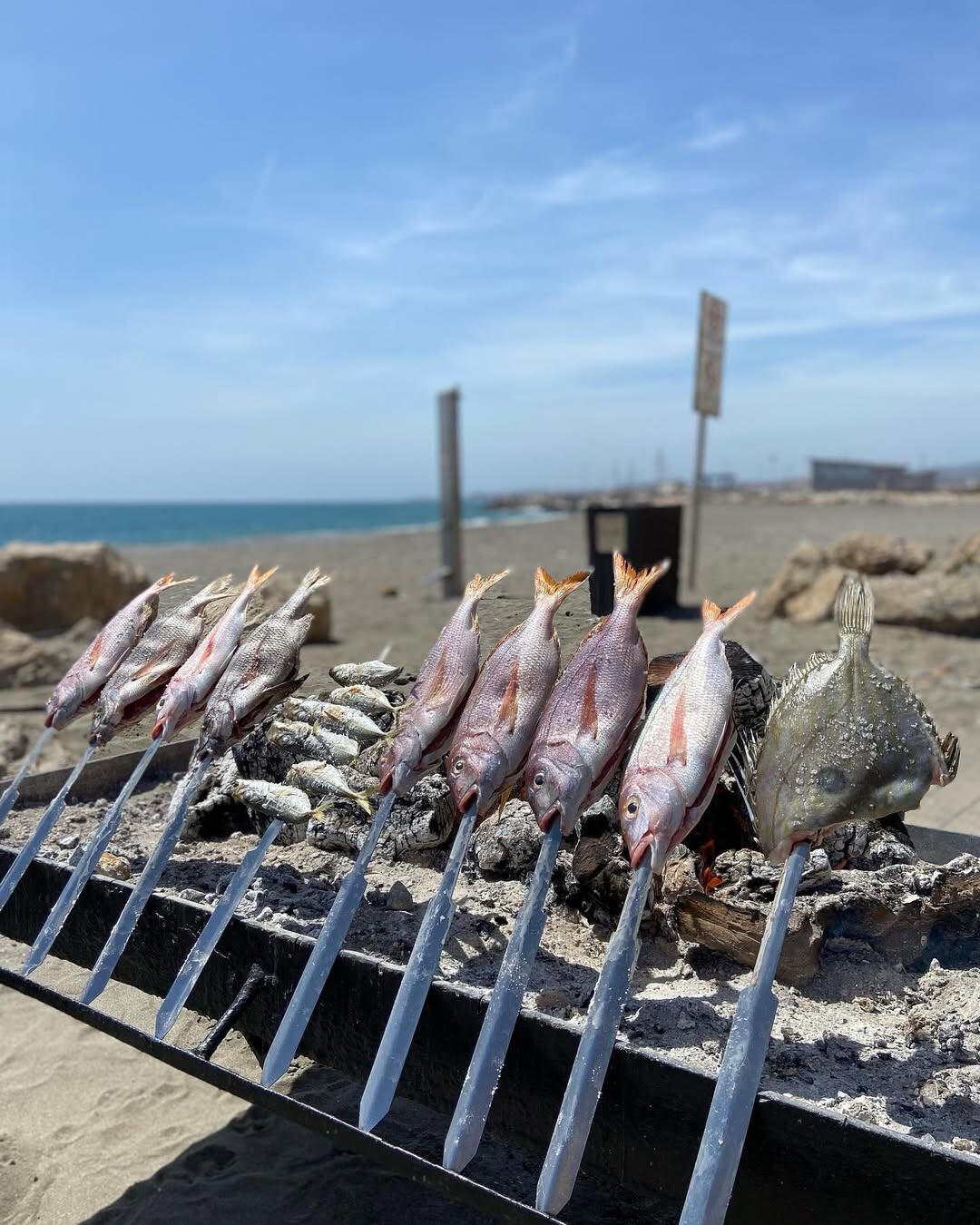 Variedad para elegir