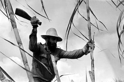 Fidel Castro participa da colheita da safra de cana de açúcar. Em 1970, o regime castrista se propôs a melhorar a economia da ilha alcançando uma produção de 10 milhões de toneladas de açúcar.