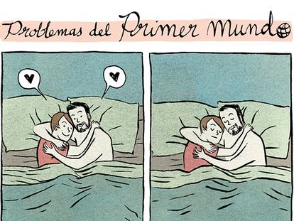 Problemas del primer mundo