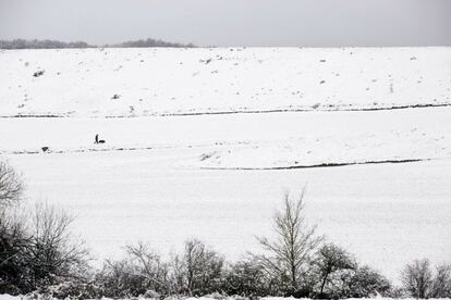Un hombre pasea con su perro por el campo nevado en las inmediaciones de Etxabarri-Urtupiña, en la Llanada Alavesa.