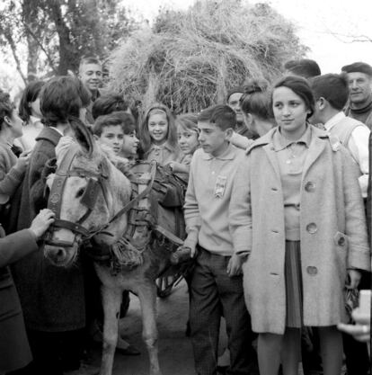 Cuando dej atrs la adolescencia, trabaj con Juan Antonio Bardem, Carlos Saura y Mario Camus, a cuyas rdenes rod 'Los das del pasado', trabajo que le vali el premio a la mejor interpretacin femenina en el Festival de Karlovy Vary. En la imagen, Pepa Flores, acompa?ada de un grupo de ni?os en la Casa de Fieras del madrile?o parque del Retiro de Madrid, en 1962.