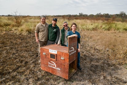 Brian Lazarte, Mauro Pergazere, Pablo Siroski y Paulina Imoberdorf, tras la liberación del aguará guazú