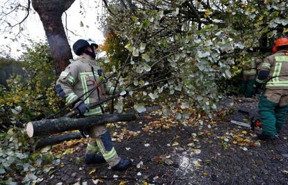 Bomberos trabajan sobre un árbol caído debido a la tormenta en Berlín el 29 de octubre. Al menos siete personas han muerto este domingo 29 de octubre en Europa central por tormenta Herwart, que ha provocado cortes de electricidad y ha perturbado la circulación ferroviaria y en carretera.