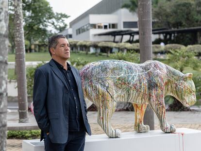 Angelo Robelo, fundador y presidente del Instituto Homem Pantaneiro, en Medellín (Colombia), el 24 de noviembre de 2023.