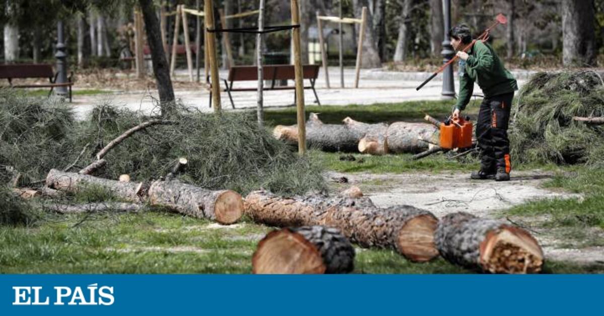 La Justicia investiga de oficio la muerte en El Retiro de un niño por ...