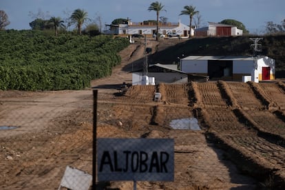 Finca Aljóbar de la Casa de Alba en Aznalcázar (Sevilla), denunciada por la Fiscalía por ocho pozos clandestinos, el pasado viernes.