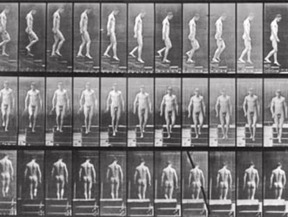 &#39;Descendiendo las escaleras&#39;, serie fotográfica de Eadweard Muybridge.