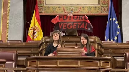 Activistas climáticos de Futuro Vegetal se pegan al atril del hemiciclo del Congreso de los Diputados, en enero de 2023.