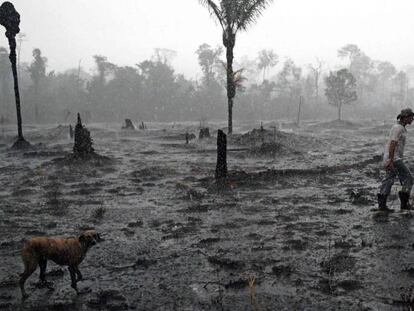 Un campesino camina en el área devastada por el incendio en la región de Porto Velho, Rondonia.