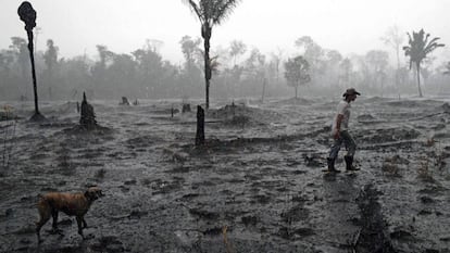 Un campesino camina en el área devastada por el incendio en la región de Porto Velho, Rondonia.