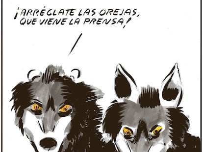 El Roto: piel de cordero