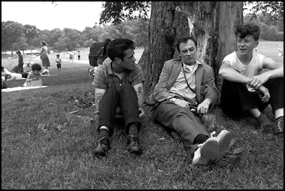 Jóvenes en parque Prospect de Nueva York en 1959