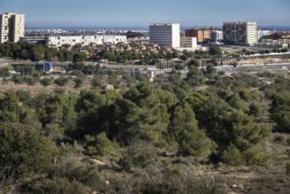 Terrenos donde se proyecta levantar Intu Mediterrani.