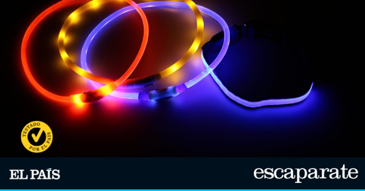 Probamos los mejores collares luminosos para perros