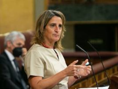 La vicepresidenta cuarta del Gobierno y ministra de Transición Ecológica y Reto Demográfico, Teresa Ribera.