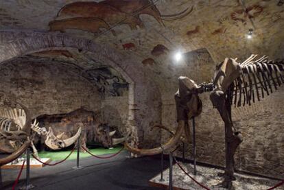 Algunos de los esqueletos que se exponen en el museo de la calle de Montcada.