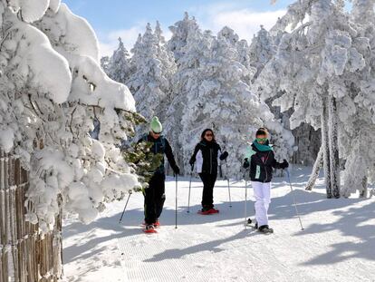 A snowshoe hike at the Cerler ski resort in Huesca.