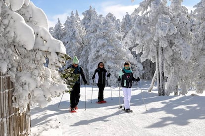 A snowshoe hike at the Cerler ski resort in Huesca.
