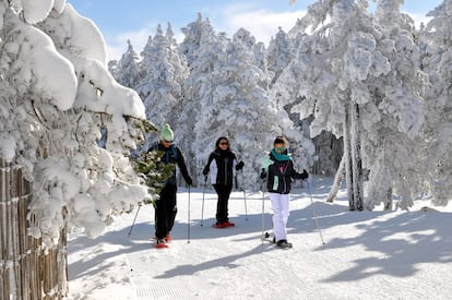 Una excursión con raquetas de nieve en la estación de Cerler, en Huesca. 