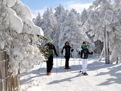 Una excursión con raquetas de nieve en la estación de Cerler, en Huesca. 